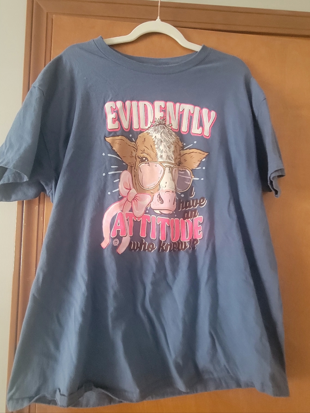 Evidently Attitude Graphic Tee - Blue with Pink Accents